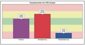 VNS-Analyse